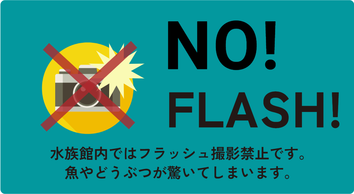 NO! FLASH!水族館内では、フラッシュ撮影禁止です。魚やどうぶつが驚いてしまいます。